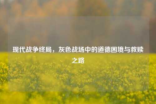现代战争终局，灰色战场中的道德困境与救赎之路