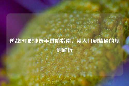 逆战PVE职业选手进阶指南，从入门到精通的规则解析