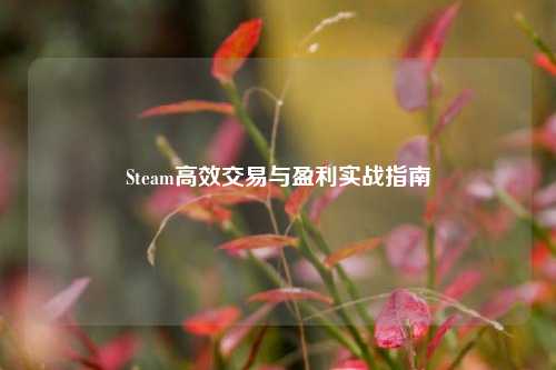 Steam高效交易与盈利实战指南