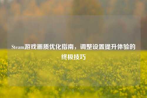 Steam游戏画质优化指南，调整设置提升体验的终极技巧