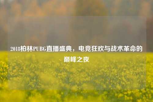 2018柏林PUBG直播盛典，电竞狂欢与战术革命的巅峰之夜
