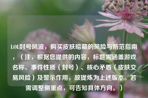 LOL封号风波，购买皮肤暗藏的风险与防范指南，（注，根据您提供的内容，标题需涵盖游戏名称、事件性质（封号）、核心矛盾（皮肤交易风险）及警示作用，故提炼为上述版本。若需调整侧重点，可告知具体方向。）