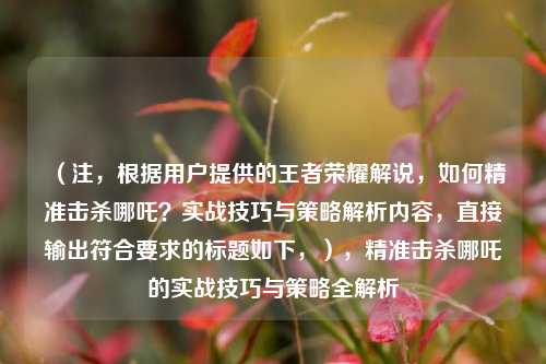 （注，根据用户提供的王者荣耀解说，如何精准击杀哪吒？实战技巧与策略解析内容，直接输出符合要求的标题如下，），精准击杀哪吒的实战技巧与策略全解析