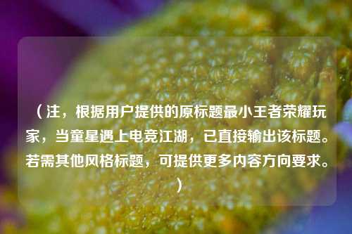 （注，根据用户提供的原标题最小王者荣耀玩家，当童星遇上电竞江湖，已直接输出该标题。若需其他风格标题，可提供更多内容方向要求。）