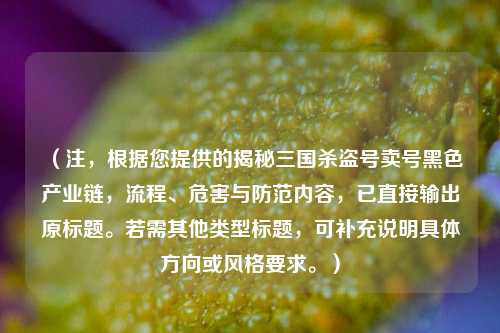 （注，根据您提供的揭秘三国杀盗号卖号黑色产业链，流程、危害与防范内容，已直接输出原标题。若需其他类型标题，可补充说明具体方向或风格要求。）