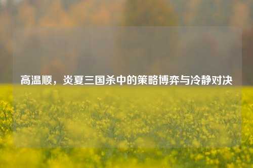 高温顺，炎夏三国杀中的策略博弈与冷静对决