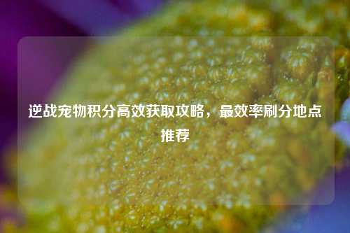 逆战宠物积分高效获取攻略，最效率刷分地点推荐