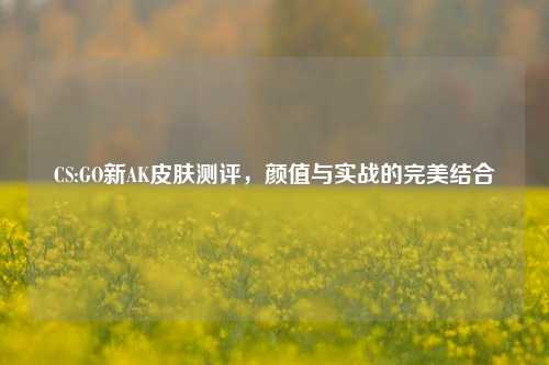 CS:GO新AK皮肤测评，颜值与实战的完美结合