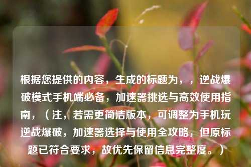 根据您提供的内容，生成的标题为，，逆战爆破模式手机端必备，加速器挑选与高效使用指南，（注，若需更简洁版本，可调整为手机玩逆战爆破，加速器选择与使用全攻略，但原标题已符合要求，故优先保留信息完整度。）