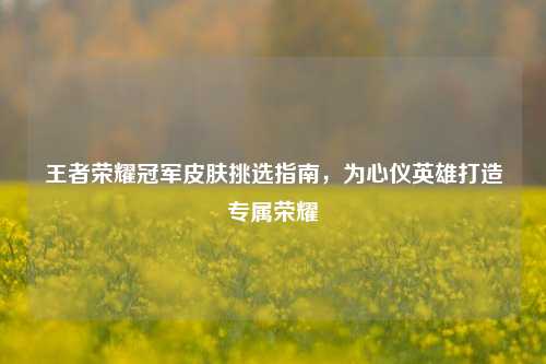 王者荣耀冠军皮肤挑选指南，为心仪英雄打造专属荣耀