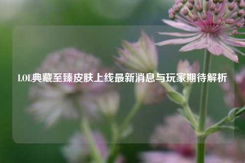 LOL典藏至臻皮肤上线最新消息与玩家期待解析
