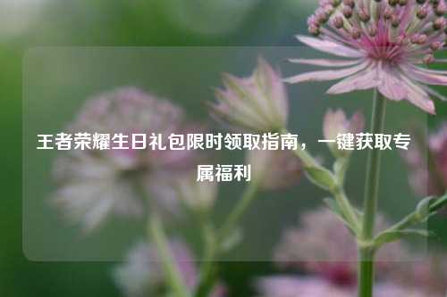 王者荣耀生日礼包限时领取指南，一键获取专属福利