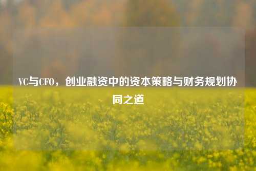 VC与CFO，创业融资中的资本策略与财务规划协同之道