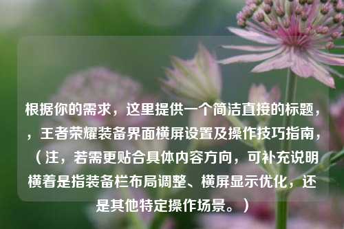 根据你的需求，这里提供一个简洁直接的标题，，王者荣耀装备界面横屏设置及操作技巧指南，（注，若需更贴合具体内容方向，可补充说明横着是指装备栏布局调整、横屏显示优化，还是其他特定操作场景。）