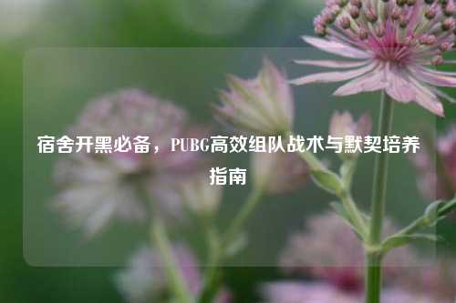 宿舍开黑必备，PUBG高效组队战术与默契培养指南