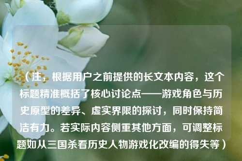 （注，根据用户之前提供的长文本内容，这个标题精准概括了核心讨论点——游戏角色与历史原型的差异、虚实界限的探讨，同时保持简洁有力。若实际内容侧重其他方面，可调整标题如从三国杀看历史人物游戏化改编的得失等）