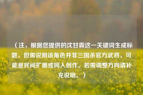 （注，根据您提供的沈甘霖这一关键词生成标题，但需说明该角色并非三国杀官方武将，可能是民间扩展或同人创作。若需调整方向请补充说明。）