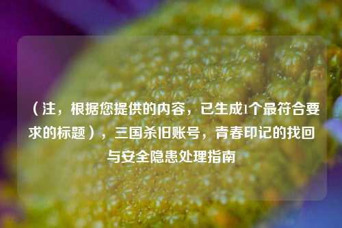 （注，根据您提供的内容，已生成1个最符合要求的标题），三国杀旧账号，青春印记的找回与安全隐患处理指南