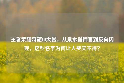 王者荣耀奇葩ID大赏，从泉水指挥官到反向闪现，这些名字为何让人哭笑不得？