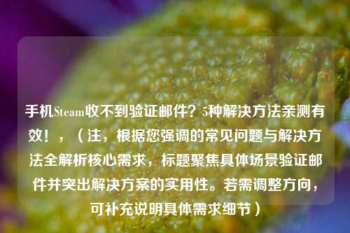 手机Steam收不到验证邮件？5种解决方法亲测有效！，（注，根据您强调的常见问题与解决方法全解析核心需求，标题聚焦具体场景验证邮件并突出解决方案的实用性。若需调整方向，可补充说明具体需求细节）