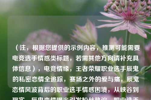 （注，根据您提供的示例内容，推测可能需要电竞选手情感类标题，若需其他方向请补充具体信息），电竞情缘，王者荣耀职业选手辰鬼的私密恋情全追踪，赛场之外的爱与痛，辰鬼恋情风波背后的职业选手情感困境，从峡谷到现实，辰鬼恋情曝光引发粉丝热议，职业选手如何平衡爱情与事业？，请确认是否需要调整方向或补充信息，可为您优化精准度。