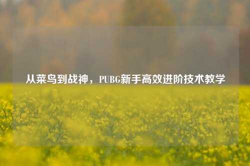 从菜鸟到战神，PUBG新手高效进阶技术教学
