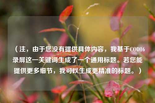 （注，由于您没有提供具体内容，我基于COD16录屏这一关键词生成了一个通用标题。若您能提供更多细节，我可以生成更精准的标题。）