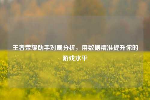 王者荣耀助手对局分析，用数据精准提升你的游戏水平