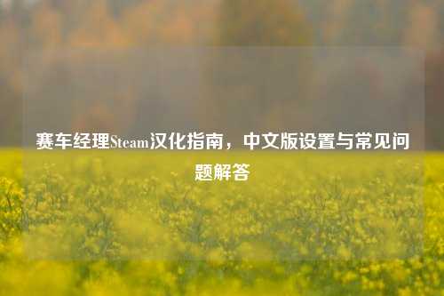 赛车经理Steam汉化指南，中文版设置与常见问题解答