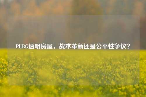 PUBG透明房屋，战术革新还是公平性争议？