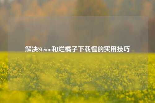 解决Steam和烂橘子下载慢的实用技巧