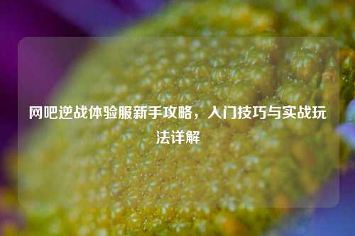 网吧逆战体验服新手攻略，入门技巧与实战玩法详解