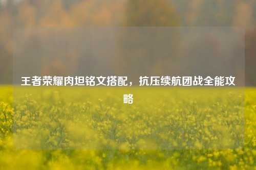 王者荣耀肉坦铭文搭配，抗压续航团战全能攻略