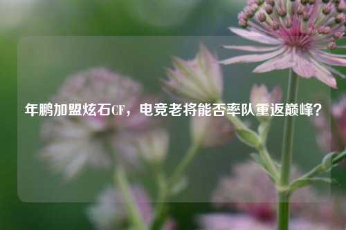 年鹏加盟炫石CF，电竞老将能否率队重返巅峰？