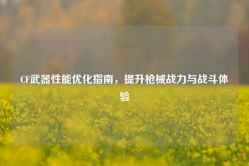 CF武器性能优化指南，提升枪械战力与战斗体验