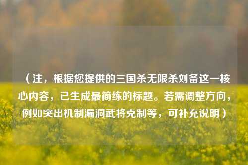 （注，根据您提供的三国杀无限杀刘备这一核心内容，已生成最简练的标题。若需调整方向，例如突出机制漏洞武将克制等，可补充说明）