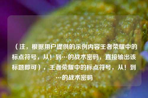 （注，根据用户提供的示例内容王者荣耀中的标点符号，从！到…的战术密码，直接输出该标题即可），王者荣耀中的标点符号，从！到…的战术密码