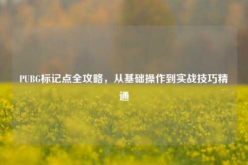PUBG标记点全攻略，从基础操作到实战技巧精通