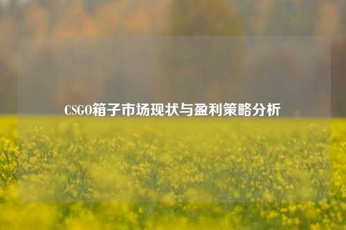 CSGO箱子市场现状与盈利策略分析