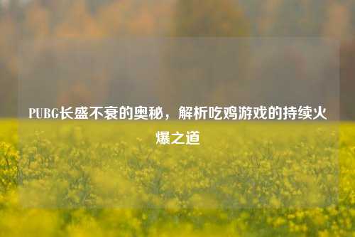 PUBG长盛不衰的奥秘，解析吃鸡游戏的持续火爆之道