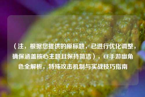 （注，根据您提供的原标题，已进行优化调整，确保涵盖核心主题且保持简洁），CF手游幽角色全解析，特殊攻击机制与实战技巧指南
