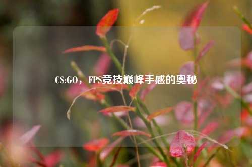 CS:GO，FPS竞技巅峰手感的奥秘