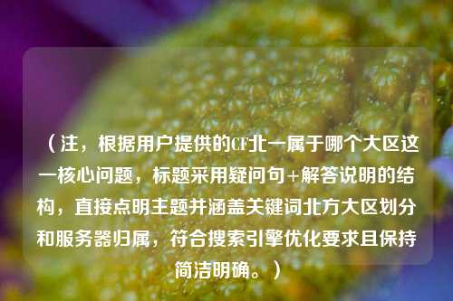（注，根据用户提供的CF北一属于哪个大区这一核心问题，标题采用疑问句+解答说明的结构，直接点明主题并涵盖关键词北方大区划分和服务器归属，符合搜索引擎优化要求且保持简洁明确。）