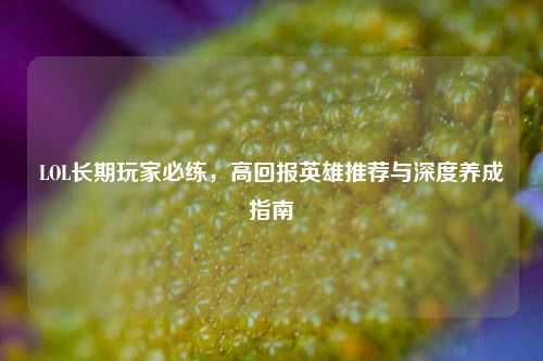 LOL长期玩家必练，高回报英雄推荐与深度养成指南