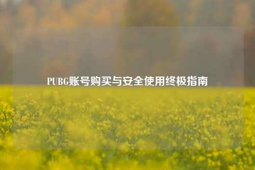 PUBG账号购买与安全使用终极指南
