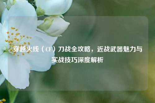 穿越火线（CF）刀战全攻略，近战武器魅力与实战技巧深度解析