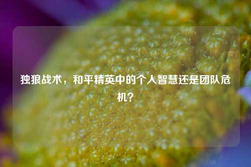 独狼战术，和平精英中的个人智慧还是团队危机？