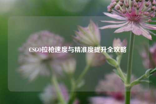 CSGO拉枪速度与精准度提升全攻略