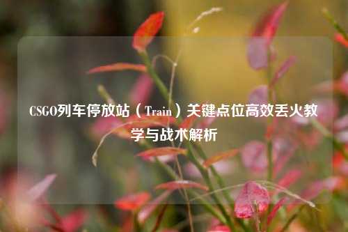 CSGO列车停放站（Train）关键点位高效丢火教学与战术解析