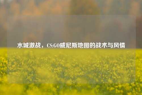 水城激战，CS:GO威尼斯地图的战术与风情